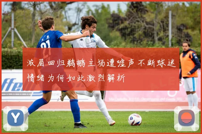 浓眉回归鹈鹕主场遭嘘声不断球迷情绪为何如此激烈解析