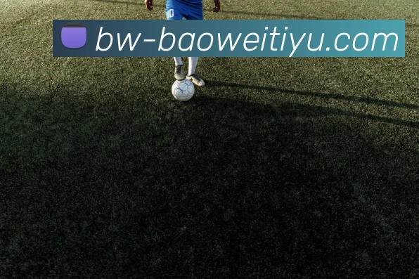 宝威体育品牌故事